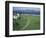 Pastoral Scene, Isle of Iona, Scotland-William Sutton-Framed Photographic Print