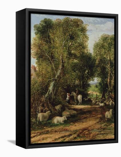 Pastoral Scene with Sheep, 19Th Century-George Cole-Framed Premier Image Canvas