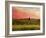 Pastoral Sunset-Robert Cattan-Framed Photographic Print