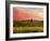 Pastoral Sunset-Robert Cattan-Framed Photographic Print