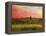 Pastoral Sunset-Robert Cattan-Framed Premier Image Canvas
