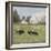 Pastoral - Sweet Meadow-Mark Chandon-Framed Giclee Print