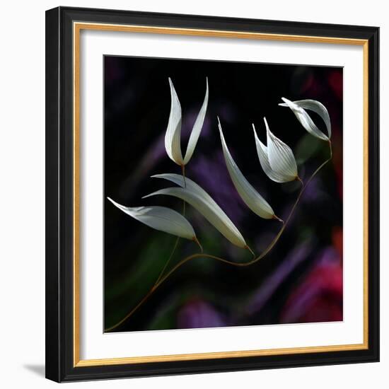 Pastoral symphony...-Thierry Dufour-Framed Photographic Print