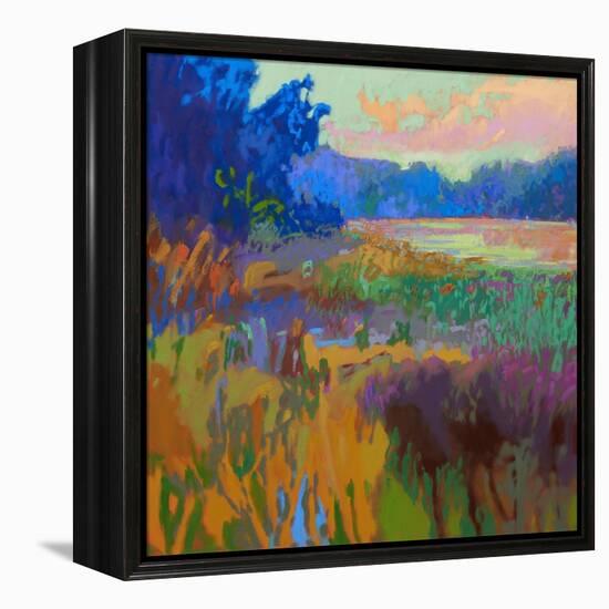 Pastoral XV-Jane Schmidt-Framed Stretched Canvas