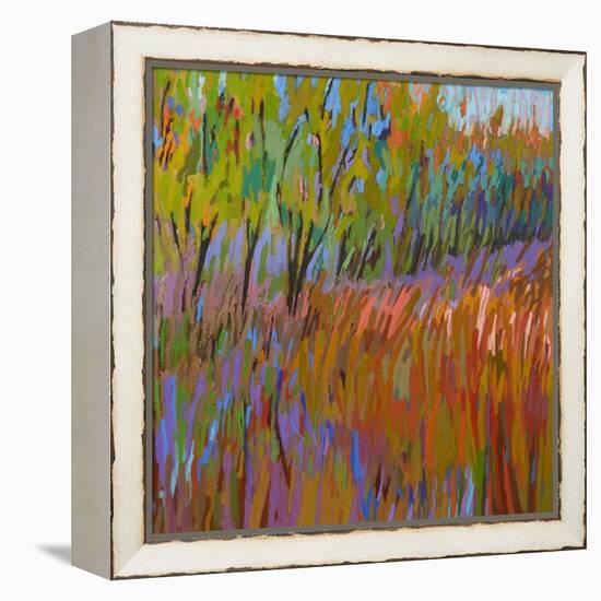 Pastoral XVII-Jane Schmidt-Framed Stretched Canvas