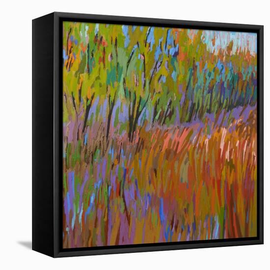 Pastoral XVII-Jane Schmidt-Framed Stretched Canvas