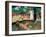 Pastorales Tahitiennes-Paul Gauguin-Framed Giclee Print