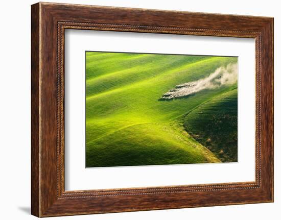 Pasturage-Marcin Sobas-Framed Photographic Print