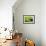 Pasturage-Marcin Sobas-Framed Photographic Print displayed on a wall