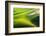 Pasturage-Marcin Sobas-Framed Photographic Print