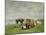 Pasture at the Seaside, C.1880-85-Eug?ne Boudin-Mounted Giclee Print