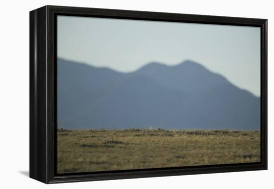 Pasture Land-DLILLC-Framed Premier Image Canvas