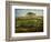 Pasture Near Cherbourg (Normandy), 1871-2-Jean-Francois Millet-Framed Giclee Print