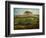 Pasture Near Cherbourg (Normandy), 1871-2-Jean-Francois Millet-Framed Giclee Print