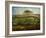 Pasture Near Cherbourg (Normandy), 1871-2-Jean-Francois Millet-Framed Giclee Print