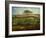 Pasture Near Cherbourg (Normandy), 1871-2-Jean-Francois Millet-Framed Giclee Print