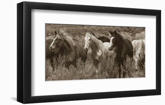 Pasture Pals-Barry Hart-Framed Art Print