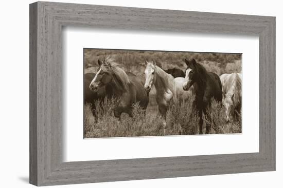 Pasture Pals-Barry Hart-Framed Art Print