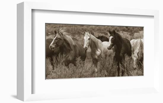 Pasture Pals-Barry Hart-Framed Art Print