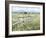 Pasture Pure-Mark Chandon-Framed Giclee Print