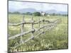 Pasture Pure-Mark Chandon-Mounted Giclee Print