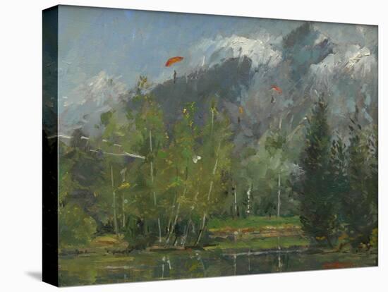 Stretched Canvas Print, , large
