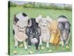 Stretched Canvas Print