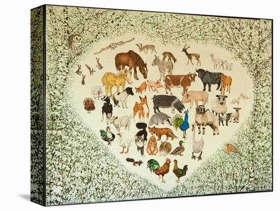 Stretched Canvas Print, , large