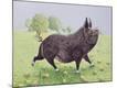 Premium Giclee Print