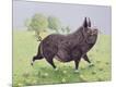 Giclee Print