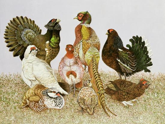 Giclee Print, , large