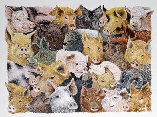 Premium Giclee Print, , large