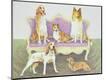 Giclee Print