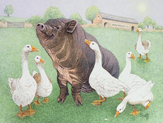 Giclee Print, , large