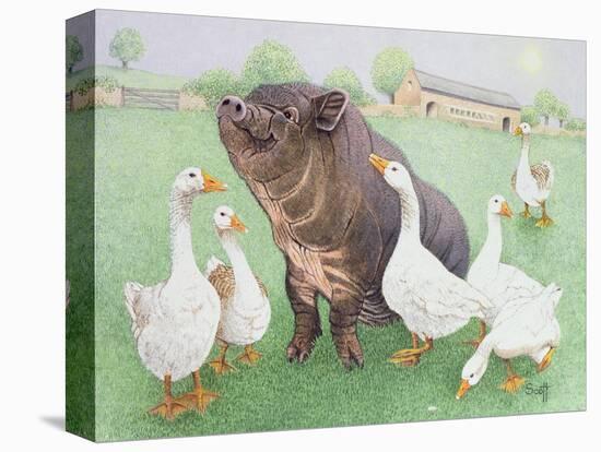 Stretched Canvas Print, , large