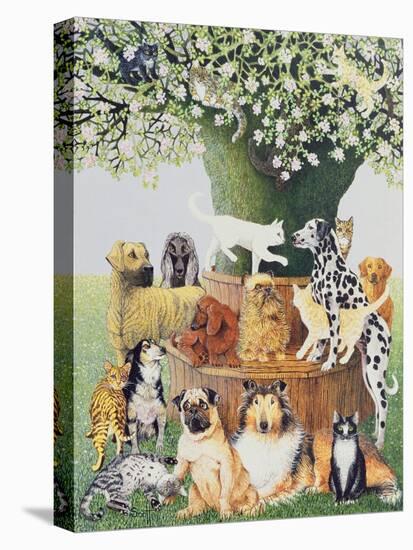 Stretched Canvas Print, , large
