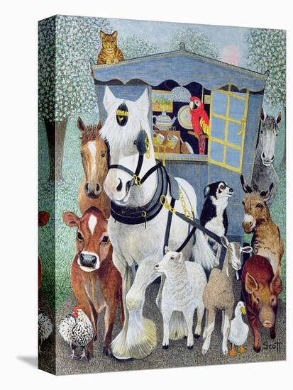 Stretched Canvas Print, , large