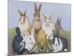 Giclee Print
