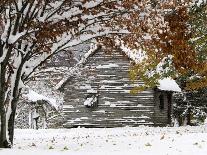 October Snow-Pat Wellenbach-Mounted Photographic Print
