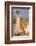 Patagonia, portrait of guanaco, Torres Del Paine-Howie Garber-Framed Photographic Print