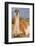 Patagonia, portrait of guanaco, Torres Del Paine-Howie Garber-Framed Photographic Print