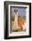 Patagonia, portrait of guanaco, Torres Del Paine-Howie Garber-Framed Photographic Print