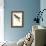 Patagonian Parakeet Macaw - Cyanoliseus Patagonus-Edward Lear-Framed Art Print displayed on a wall
