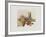 Patates et potirons-Annapia Antonini-Framed Limited Edition