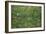 Patch of Grass by Van Gogh-Vincent van Gogh-Framed Premium Giclee Print