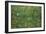 Patch of Grass by Van Gogh-Vincent van Gogh-Framed Premium Giclee Print