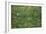 Patch of Grass by Van Gogh-Vincent van Gogh-Framed Premium Giclee Print