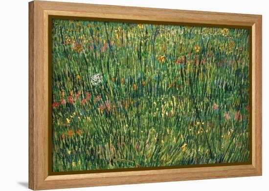 Patch of Grass by Van Gogh-Vincent van Gogh-Framed Stretched Canvas