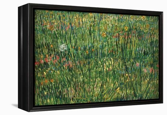 Patch of Grass by Van Gogh-Vincent van Gogh-Framed Stretched Canvas