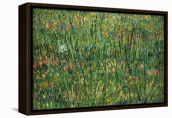 Patch of Grass by Van Gogh-Vincent van Gogh-Framed Stretched Canvas